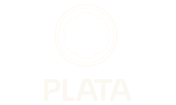 Plata LLC